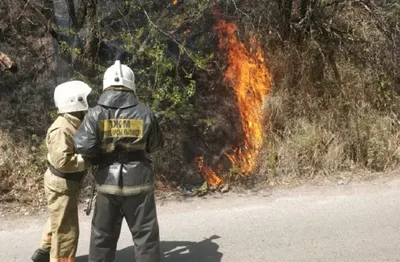 Потушен третий пожар на Кок-Тобе