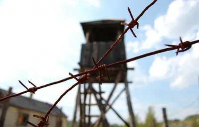 За похищение школьника к 7 годам тюрьмы приговорен житель СКО