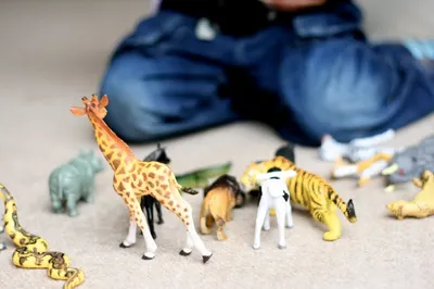 Рассказываем ребенку о животных