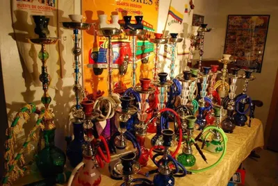 Казахстанские школьники от кальяна не откажутся