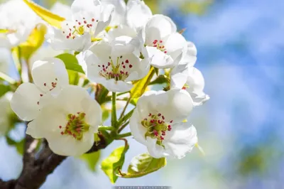 Температура воздуха на выходных повысится по всему Казахстану