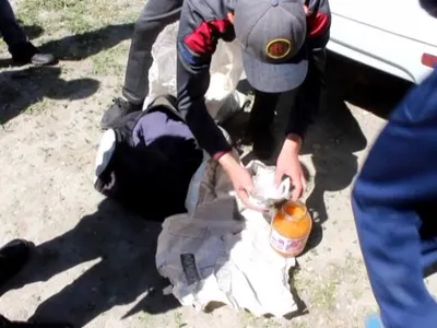 Пограничники задержали контрафактную партию рыбы и икры