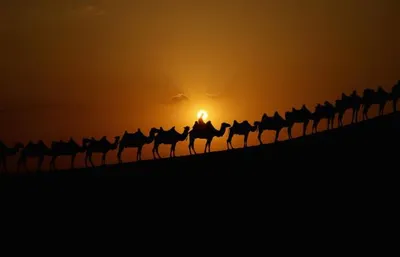 В Астане решится вопрос о возрождении Великого шелкового путиЭксклюзив