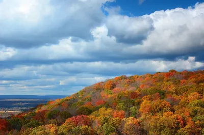 Облачная погода ожидается в Казахстане