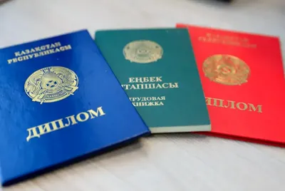 Около 40 мировых стран признают дипломы Узбекистана