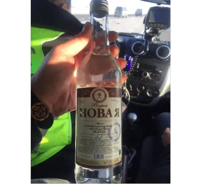 Павлодарец вез на поминки 200 бутылок контрафактной водки