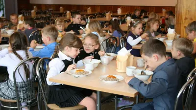 Питание в казахстанских школах может привести к раку и сахарному диабету