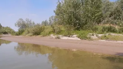 Без вести пропавшего программиста нашли мертвым на берегу Иртыша