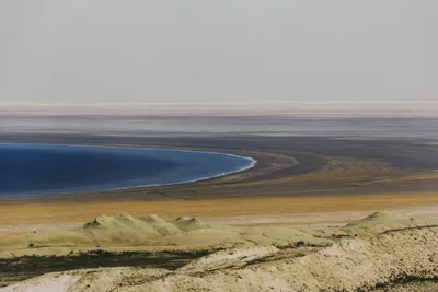 Пастбищные угодья появятся на осушенном дне Аральского моря