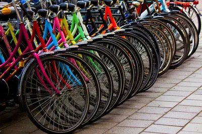 Жители Австрии откажутся от автомобилей на три месяца