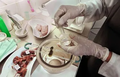 На базарах Шымкента усиленно проверяют мясо