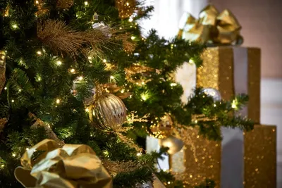 В МВД подсчитали количество пострадавших от петард в новогоднюю ночь