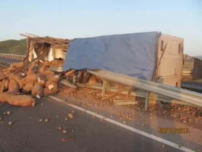 В Жамбылской области перевернулись фуры с картошкой и маслом