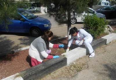 В 45-градусную жару бюджетников вывели на уборку улиц в Узбекистане