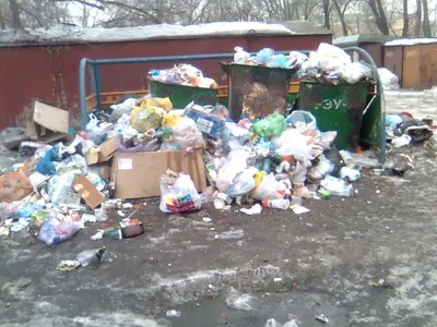 Жители Уральска целыми семьями кормятся с помойки