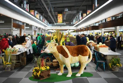 МСХ РК не будет регулировать цены на продукцию получателей субсидий