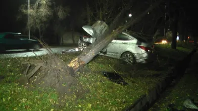 В Алматы легковой автомобиль вырвал с корнем дерево