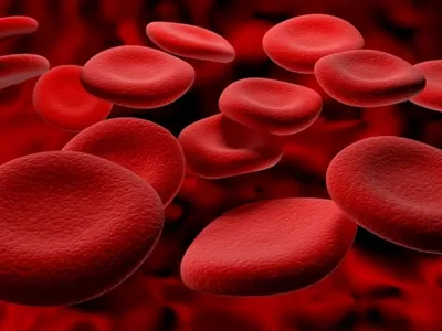 Всемирный день гемофилии, международный день кофе и независимости Сирии