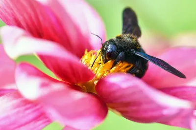 Всемирный день охраны мест обитания и день бухгалтера в Казахстане