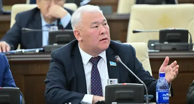 Смертельное ДТП в Алматы: депутат обвинил полицию в бездействии