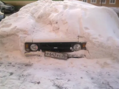 Стало известно, как снять с учета авто, простоявшее три года