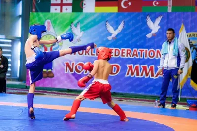 В Казахстане прошел чемпионат мира «Алтын Бала» среди детей по смешанным единоборствам Nomad MMA