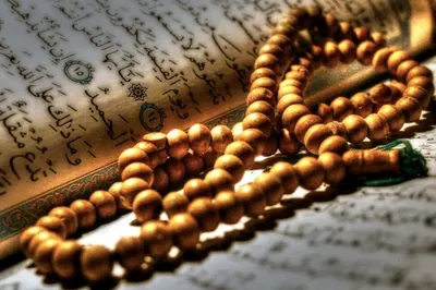 Премьер-министр Швеции осудил сожжения Корана