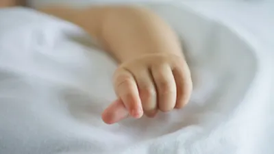 В США скончалась девочка, найденная в доме с 15 мертвыми змеями