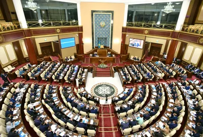 Совестно бороться с нелегалами будут Казахстан и Австрия