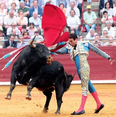 Кровавый спорт