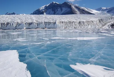 Температура воздуха впервые поднялась выше 20 градусов в Антарктике