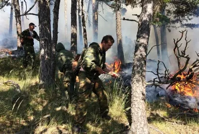 Горит лес на горе Жеке Батыр в Боровом