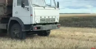 В СКО фермеры просят защитить от рейдерства