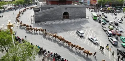 Поезд, отправленный из Украины в Китай по «Шелковому пути», потерялся в Казахстане