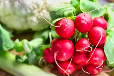 Чем так полезен редис, рассказали диетологи