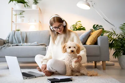 Хвостатые рекомендуют: что посмотреть в День домашних животных