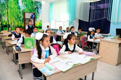 Качество знаний учащихся оценят в казахстанских школах