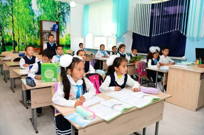 Профильные классы внедряются в школах Казахстана