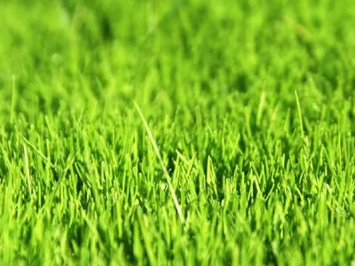 Аномальная весна пришла в Атырау