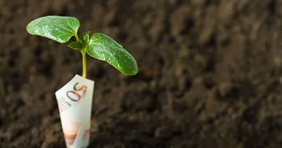 В каких случаях фермеров будут лишать земли?