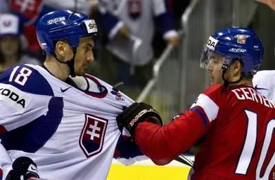 В «Барыс» сватают крестного сына Яромира Ягра