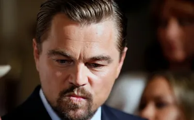 Президент Бразилии обвинил Леонардо Ди Каприо в «поджоге лесов» Амазонии