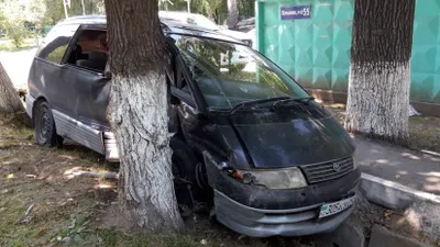 Автомобиль откинуло в арык и в дерево в Алматы, есть пострадавшие