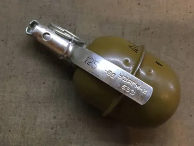 Четыре гранаты сдал житель Туркестанской области