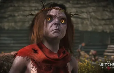 В Сеть утекла карта мира The Witcher 3