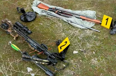 Около 120 единиц незаконного оружия изъято с начала года в Казахстане