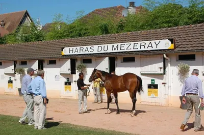 Казахстанский миллионер приобрел еще одну конеферму в Европе