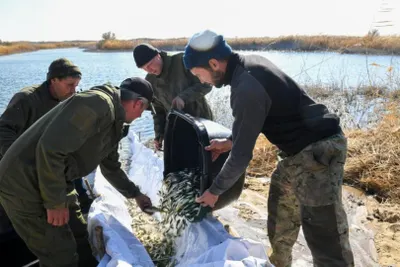 Масштабное зарыбление реки Или провели в Алматинской области
