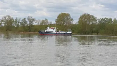 Павлодарские санврачи настаивают, что вода в Иртыше безопасна для людей