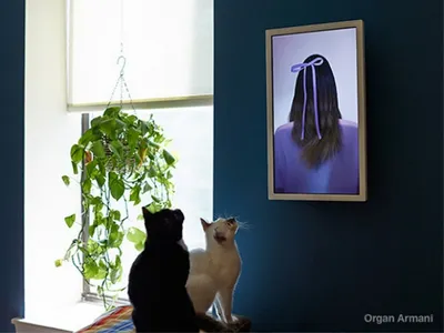 «Фоторамки будущего» ищут поддержки на KickStarter